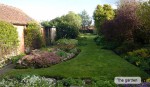 The garden