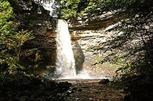 hardraw force